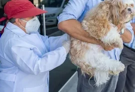 Maceió dá início à campanha de vacinação antirrábica 2025