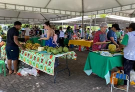 Feira sustentável especial do Dia das Crianças acontece neste domingo (13)