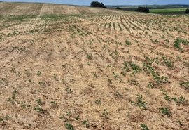 Governo Federal reconhece situação de emergência em três municípios de AL