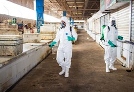 Mercado da Produção passa por mutirão de limpeza domingo (28) e segunda (29)