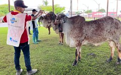 Raças de bovinos foram avaliadas na Expogenética Alagoas