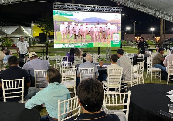 19º Nelore Positivo apresenta soluções para a pecuária de corte