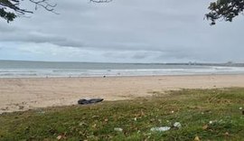 Corpo de homem é encontrado na Praia da Avenida, em Maceió