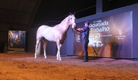 13º Vaquejada e Trabalho é um dos leilões de produção mais aguardados do Nordeste