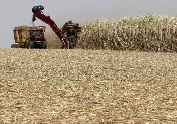 Produção de etanol anidro cresce 22,3% no Nordeste, diz NovaBio