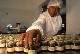 Cooperativas reforçam destaque brasileiro no mercado internacional