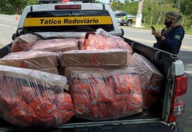 Fiscalização apreende mais de 2 toneladas de frango descongelado em cidade alagoana