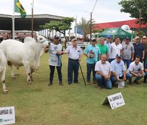 Raça Nelore ganha destaque com Exposição Regional durante a 72ª Expoagro Alagoas