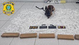 PRF encontra drogas dentro de caixa de som durante ação em Canapi