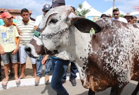 36ª Expo Bacia Leiteira abre inscrição para Torneio Leiteiro