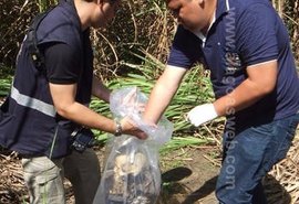 Ossada humana é encontrada em canavial, em Pilar