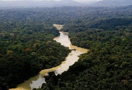 Reportagem mostra atuação de brigada militar na Amazônia