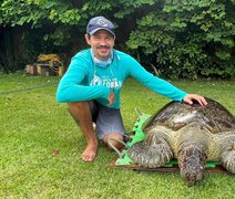 Fapeal fortalece pesquisa em biodiversidade e conservação marinha com Prêmio de Excelência Acadêmica