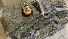 PF abre inquérito após apreensão de 15 kg de maconha em aeroporto de Alagoas
