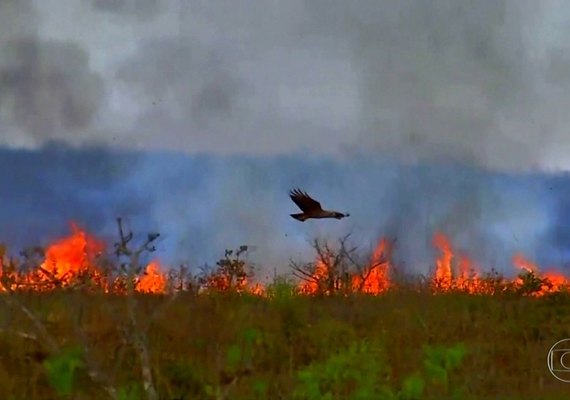 Novo governo Biden pode impactar o agronegócio brasileiro