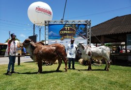 Último dia de Expoagro/AL contará com leilão no Parque da Pecuária