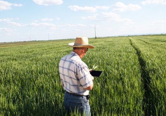 Oportunidades no agro pagam até R$ 25 mil para gerente de fazenda