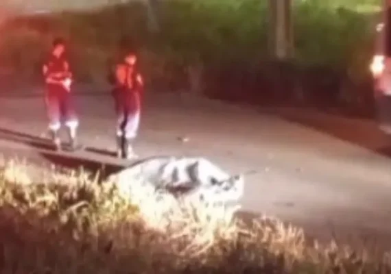Colisão com vaca causa a morte de motociclista na AL-485
