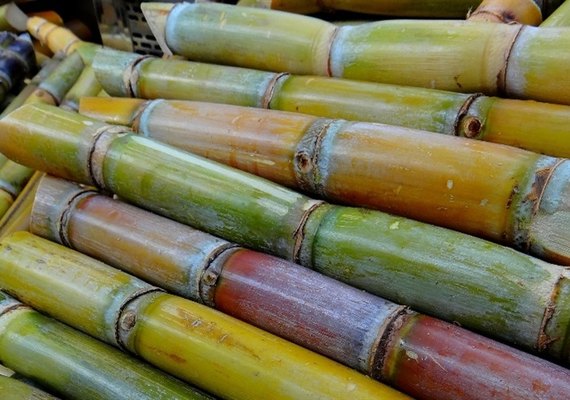 Vantagens do aço inox na indústria sucroalcooleira