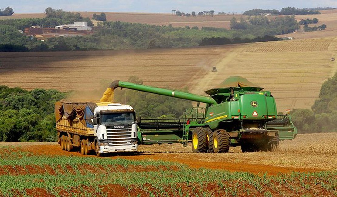 Crédito rural cresce 7% no Plano Safra 2025/2026
