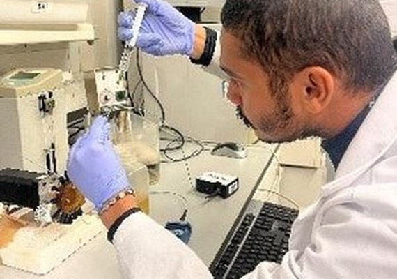 Pesquisa da Ufal rende cinco patentes para agricultura e saúde