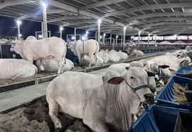 Expoagro 2025: 75 anos de tradição, inovação e protagonismo no Nordeste