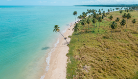 Bandeira Azul: Praia do Patacho recebe renovação do título internacional de sustentabilidade