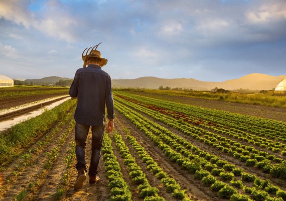 Especialista afirma que 2021 será promissor para a agricultura