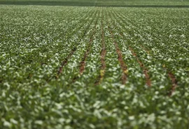 Reunião entre governo e bancada do agro termina sem acordo sobre dívidas rurais