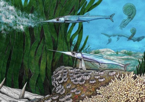 Espécie de peixe identificada por brasileiros viveu há 66 milhões de anos na Antártida