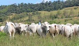 Criadores reforçam sucesso da Expoagro 2018