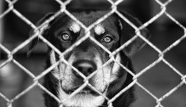 Veterinário é preso por maus-tratos a animais em clínica localizada em Maceió