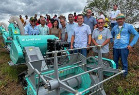 Produção de Arroz tem perspectivas positivas no Baixo São Francisco alagoano