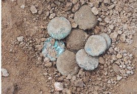 Moedas antigas revelam destruição de Fanagoria no século VI