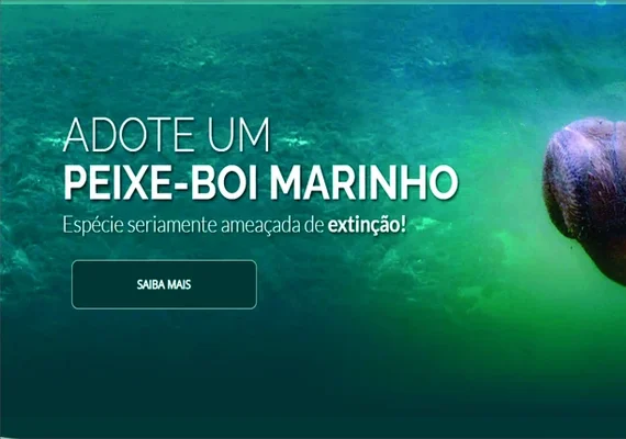 Turismo de observação de peixe-boi fortalece conservação em AL