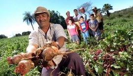 Olho D`Água do Casado ganha unidades produtivas da agricultura familiar