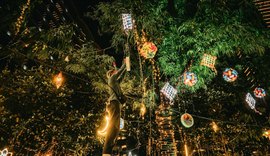 Polícia Científica orienta sobre uso seguro de fogos de artifício durante festas juninas