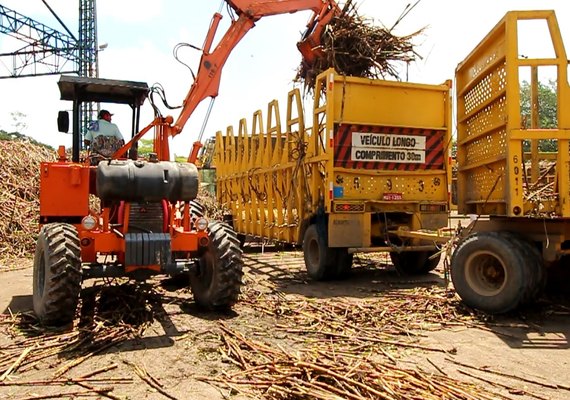 Safra 18/19 acumula produção de 15 milhões de toneladas de cana beneficiadas
