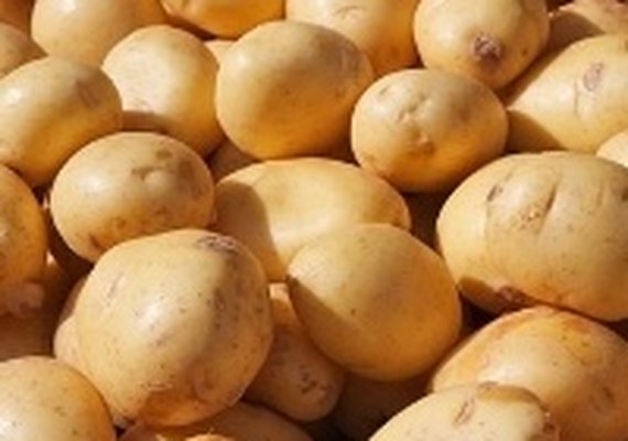 Preços da batata registram queda pela terceira semana consecutiva