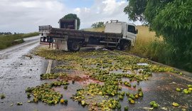 Caminhão carregado de laranjas capota na Rodovia AL-220, na Barra de São Miguel