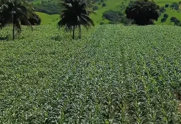 STF julga tributação de cooperativas e impacto pode atingir o agro