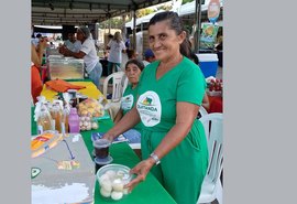 Agricultores familiares ampliam renda em até 30% com Programa de Aquisição
