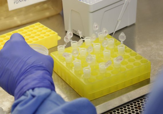 Cai para 11 o número de suspeitas de infecção por coronavírus no Brasil