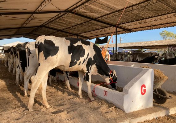38ª Expo Bacia Leiteira já supera expectativas do setor