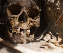 Nova análise confirma que 'il Principe' foi vítima de ataque de urso