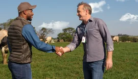 Cooperativa de crédito deve liberar R$ 4,2 bi em crédito rural no Plano Safra