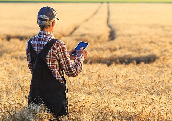 Ferramenta digital auxilia agrônomos no controle de doenças