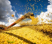 Produção de grãos no Brasil pode atingir recorde de 358,6 milhões de toneladas
