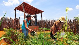 Produtores poderão renegociar dívidas com fundos constitucionais