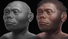Pesquisa indica que 'hobbits' humanos viviam de carcaças na Indonésia